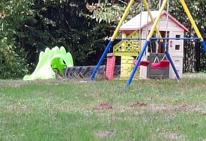 Bild 13
