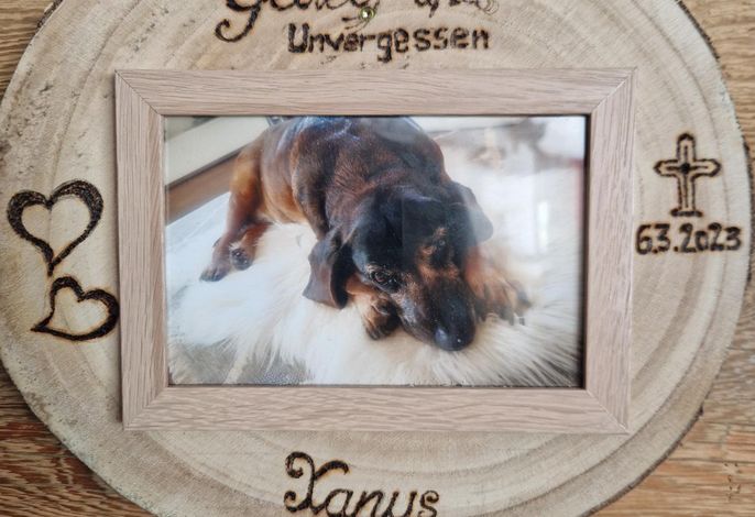 Bild 32