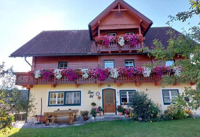 Bild 50