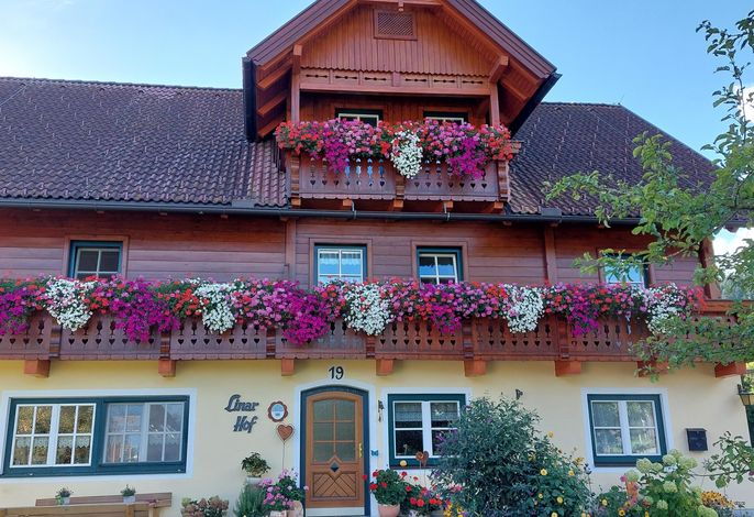 Bild 51