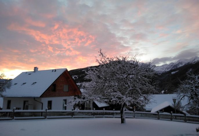 Bild 48