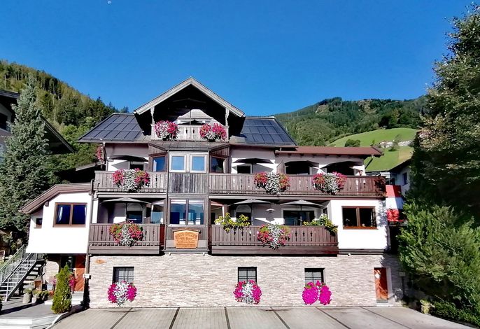 Bild 11
