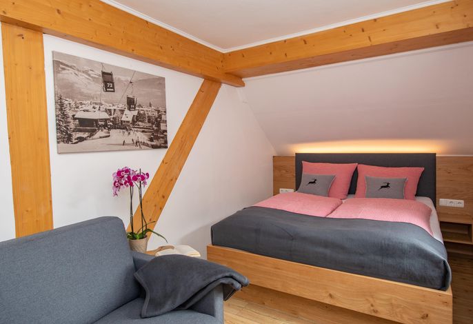 Haus Ditzer - Panorama Suite #6