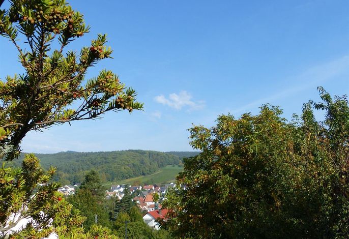 Bild 22