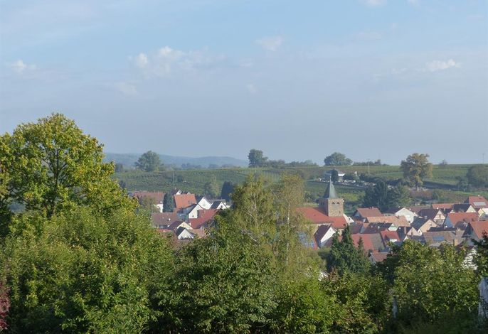 Bild 15