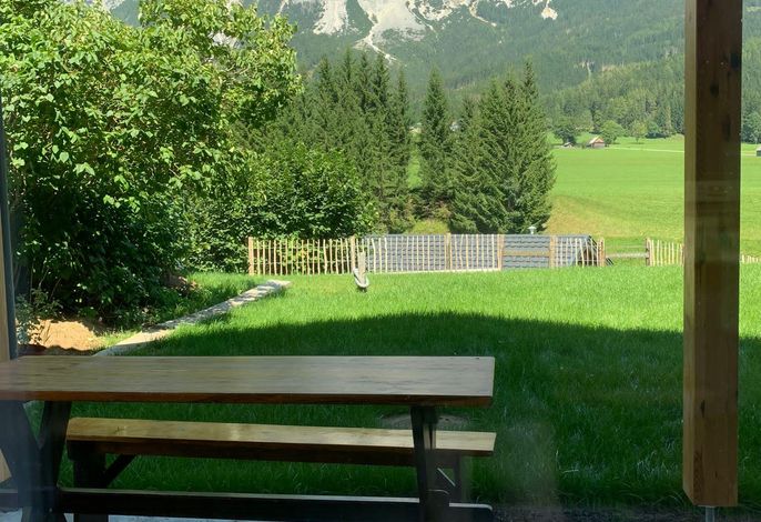 Bild 11