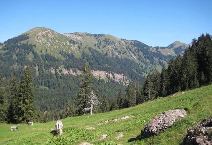 Bild 15