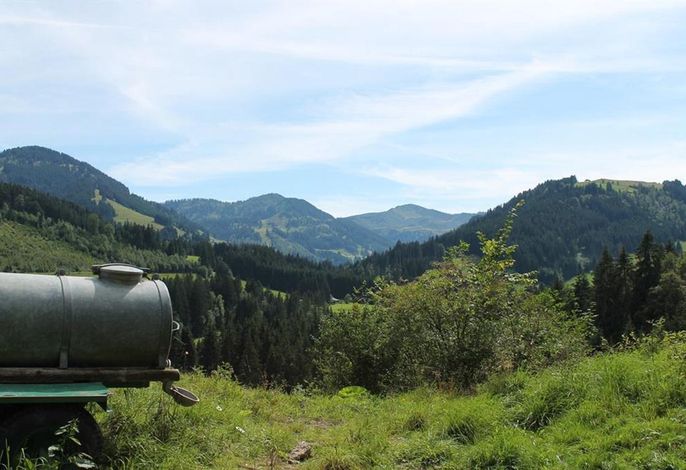 Bild 13