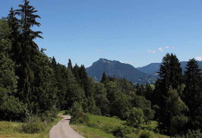 Bild 14