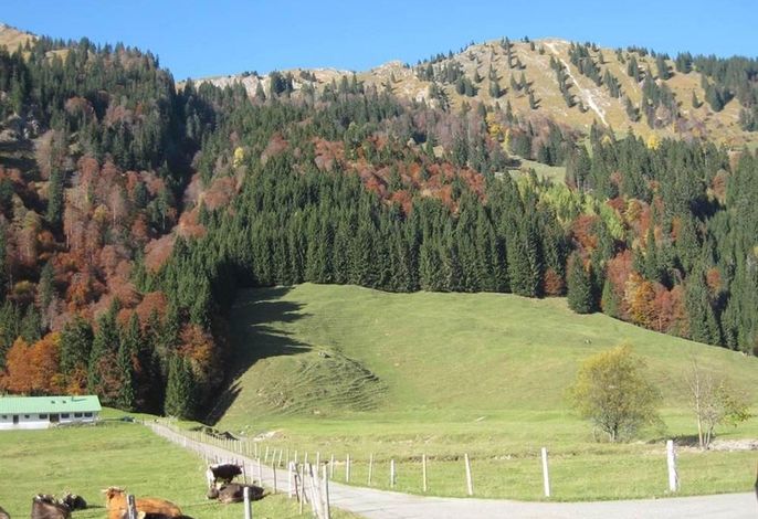 Bild 12