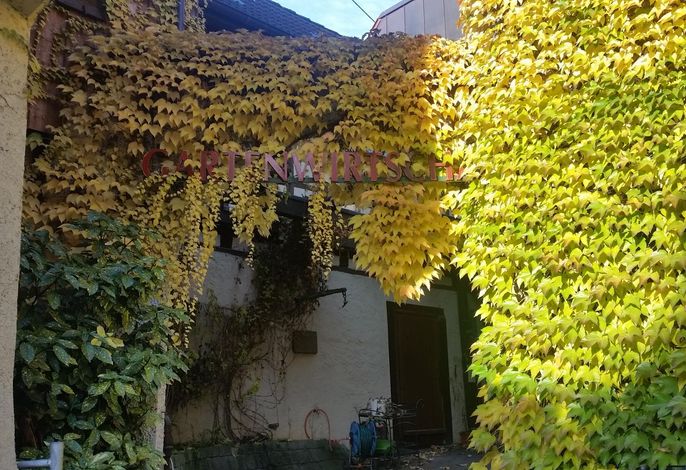 Bild 29