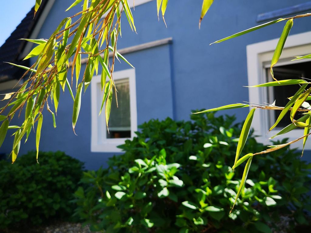 Das blaue Haus