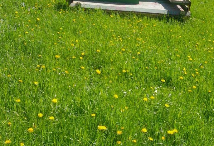 Bild 53