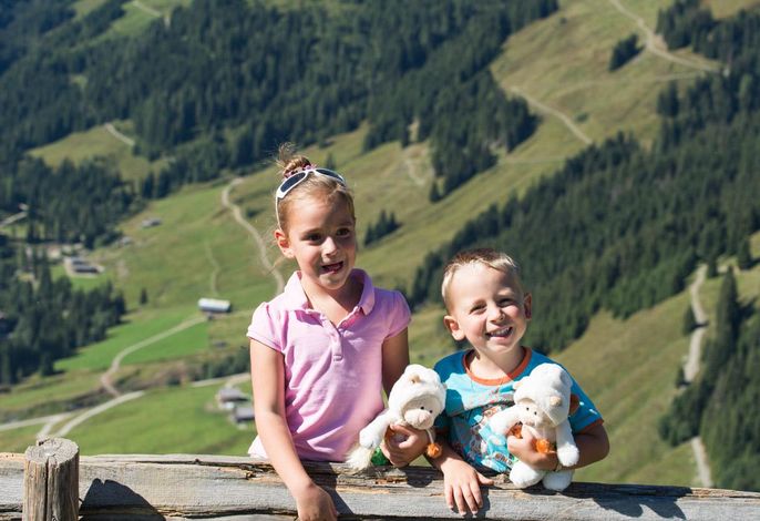 Bild 14