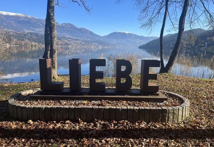 Bild 37