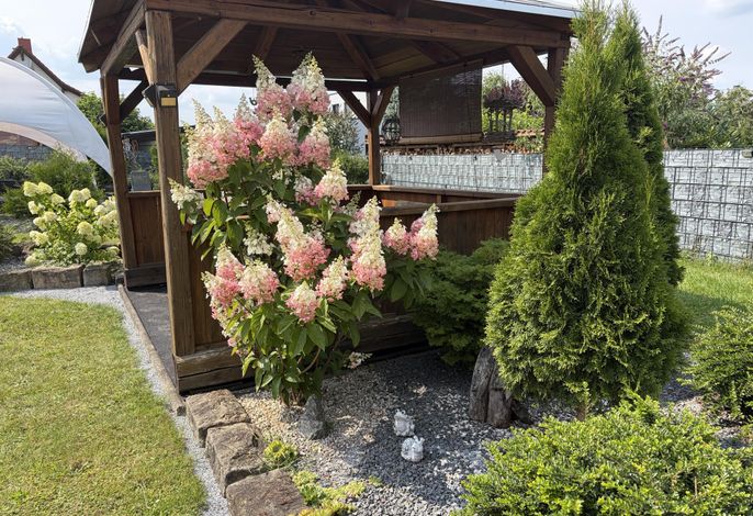 Bild 14