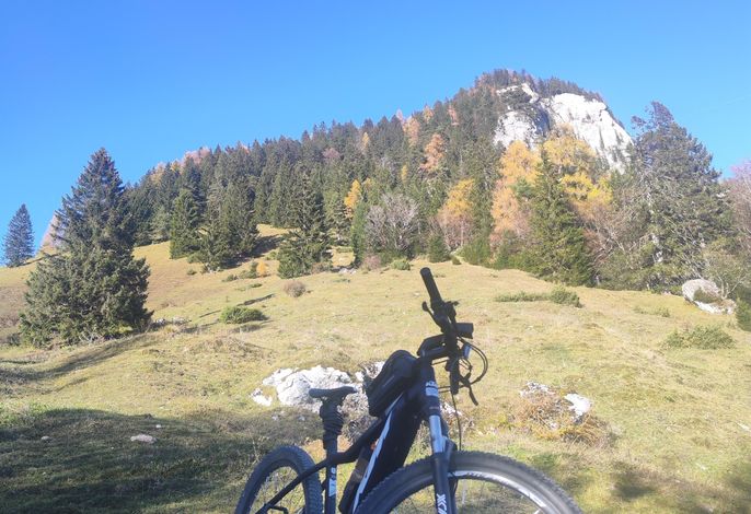 Bild 14