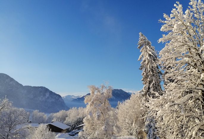 Bild 15