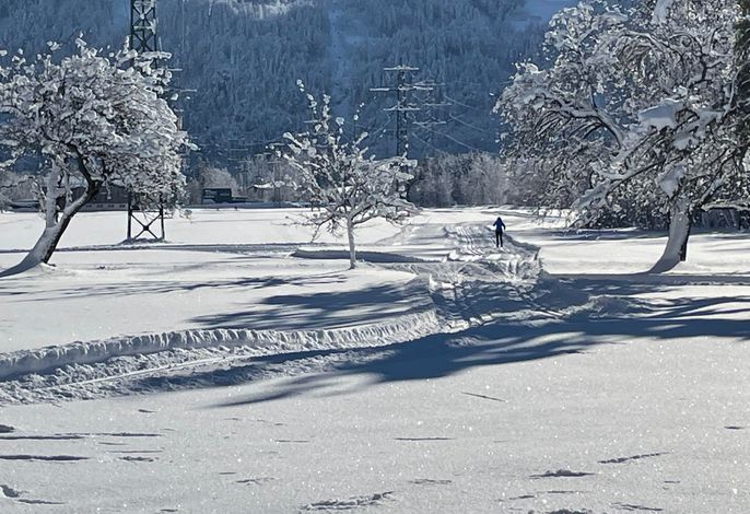 Bild 19