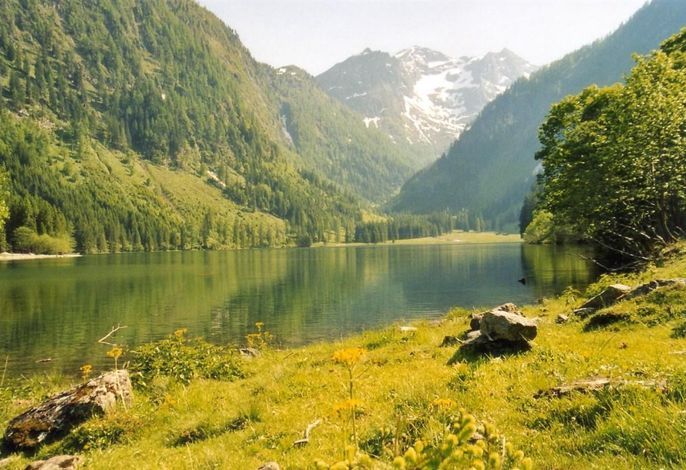 Bild 7