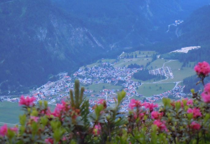 Bild 4