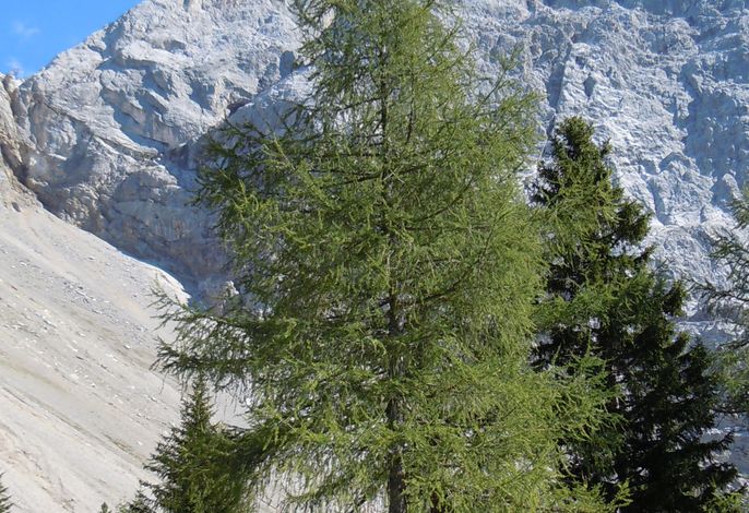 Hauptbild