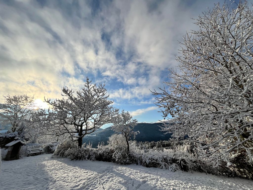 Seeblick Matzelsdorf