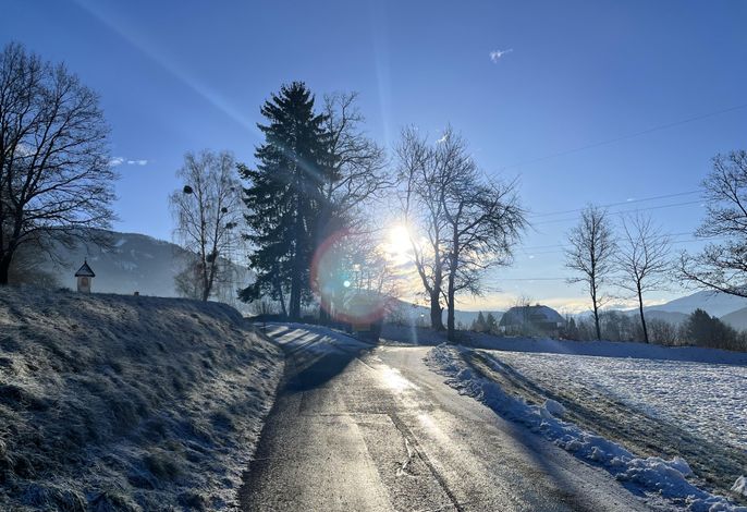 Bild 21