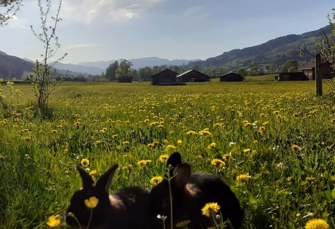 Bild 18
