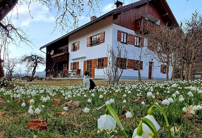 Bild 15