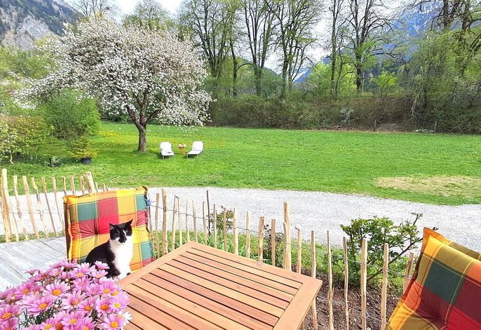 Bild 9