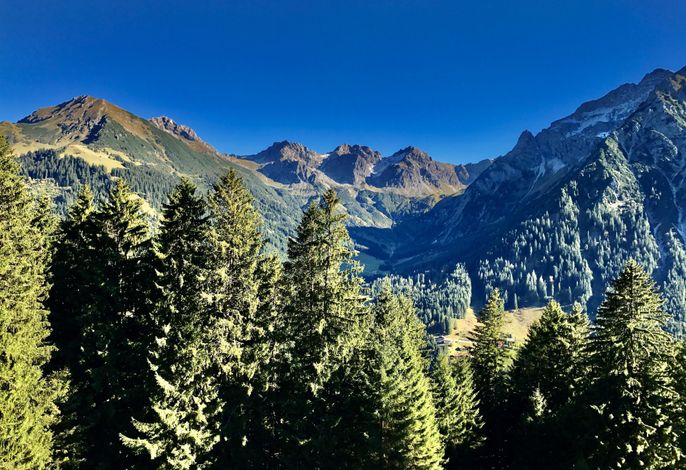 Bild 10