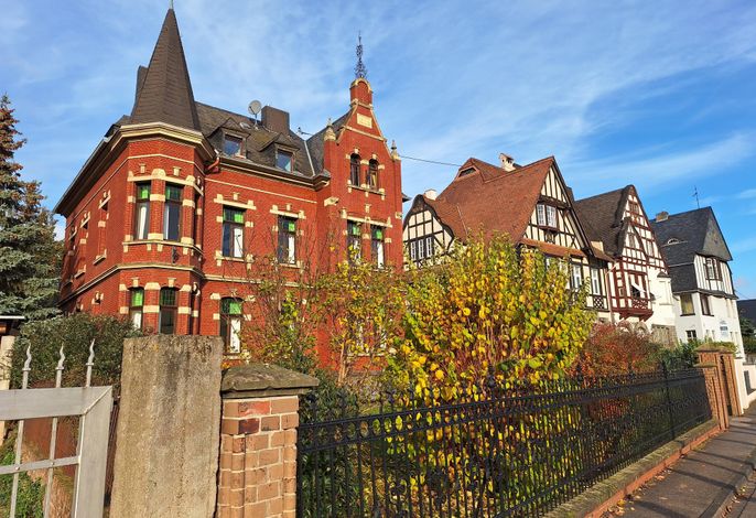 Ferienwohnung mit Rheinblick