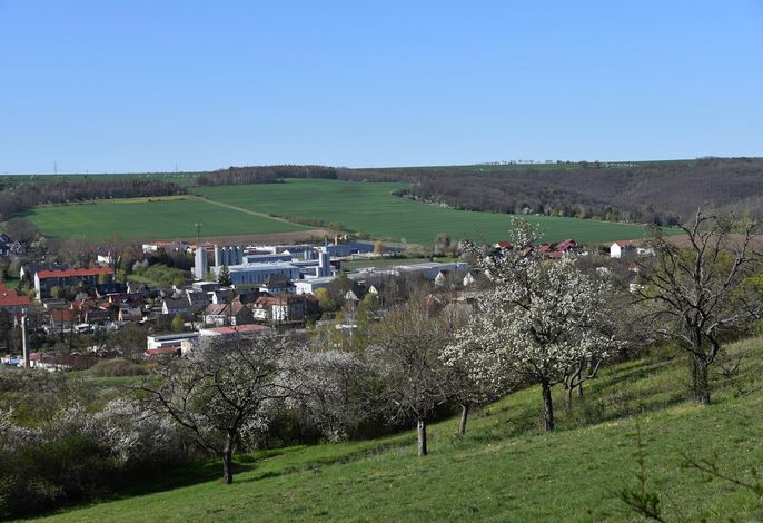 Bild 19