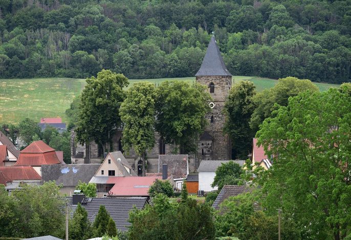 Bild 16