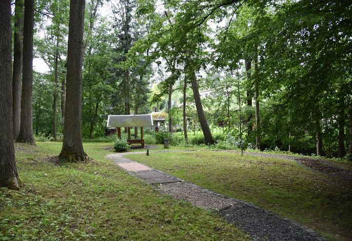 Bild 12