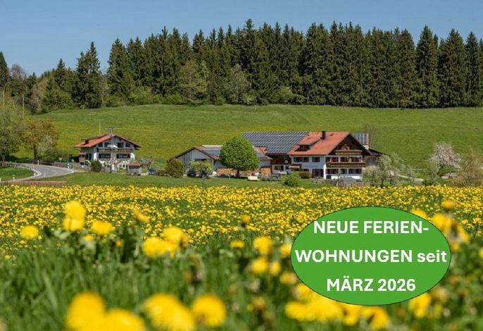 Ferienwohnung Musikstüble