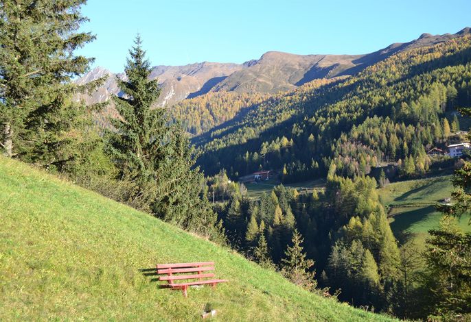 Bild 22