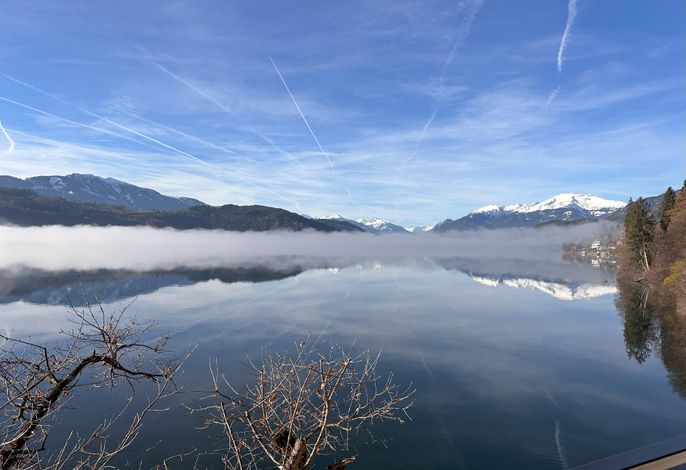 Bild 74