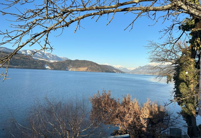 Bild 64
