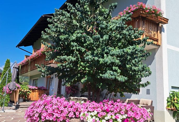 Bild 22