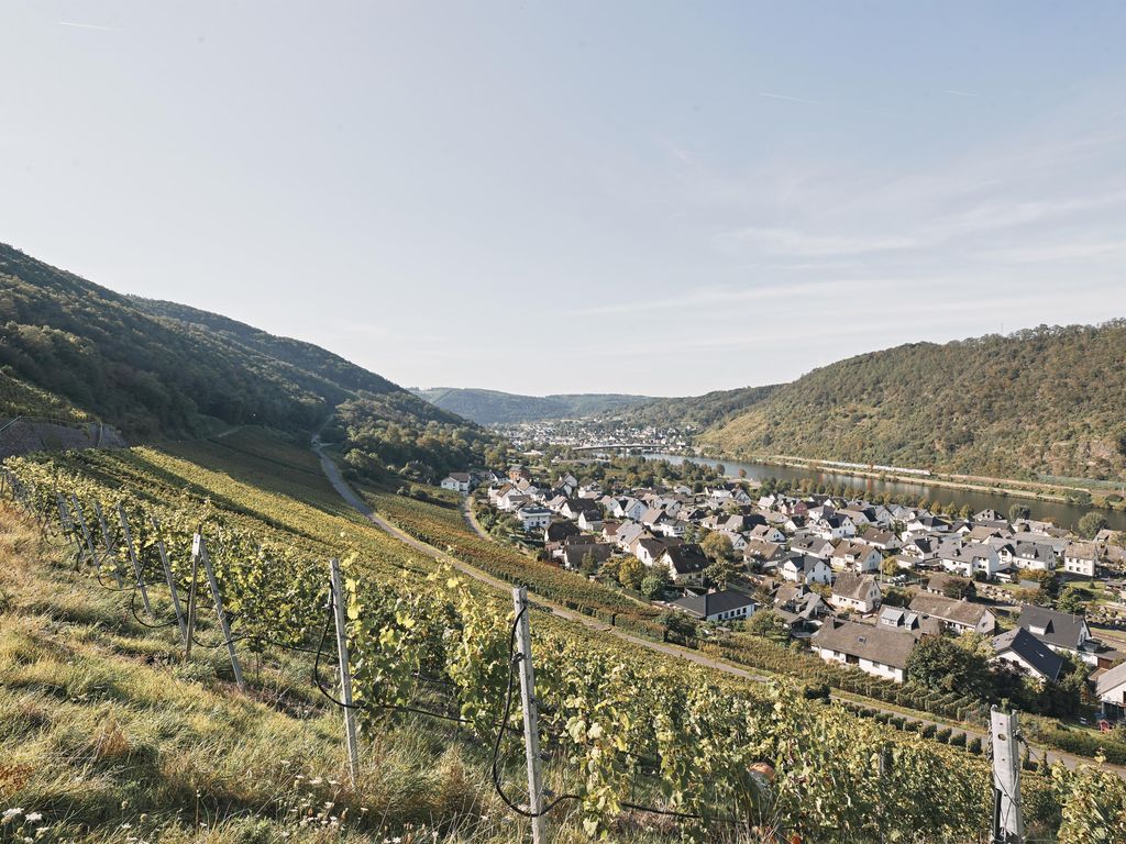 Ferienweingut Löhr