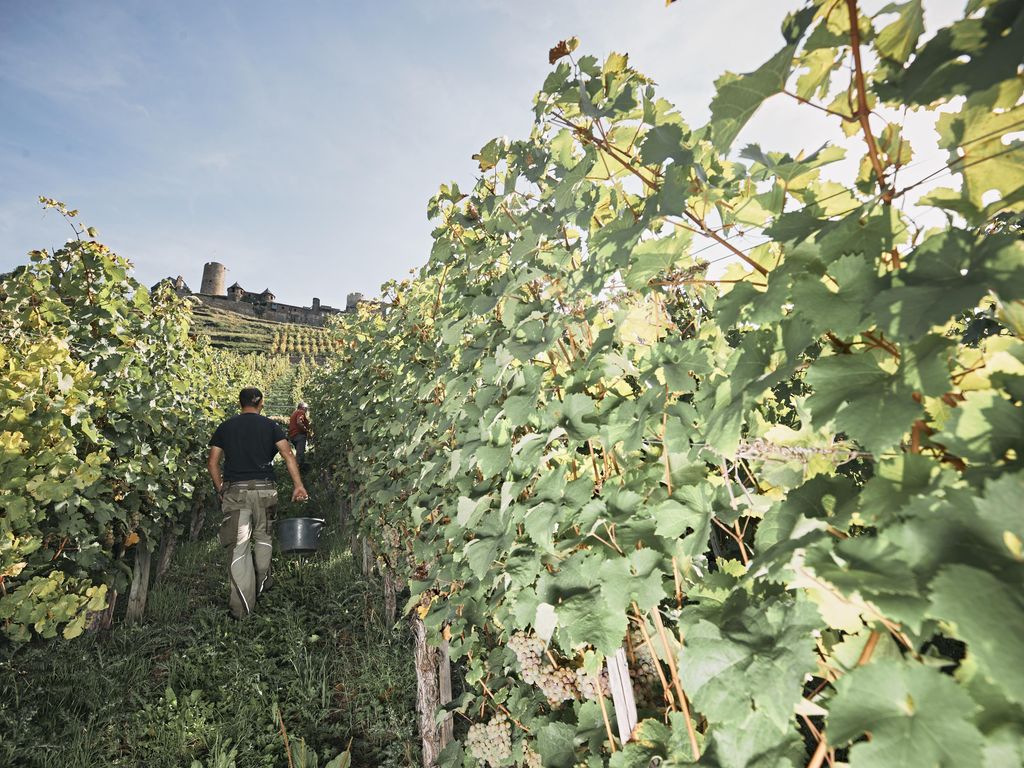 Ferienweingut Löhr