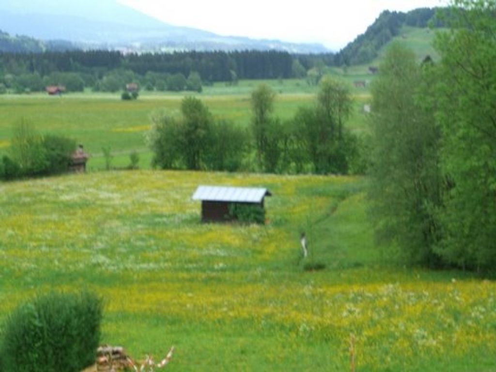 Baldauf Ulrike