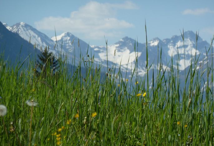 Hauptbild