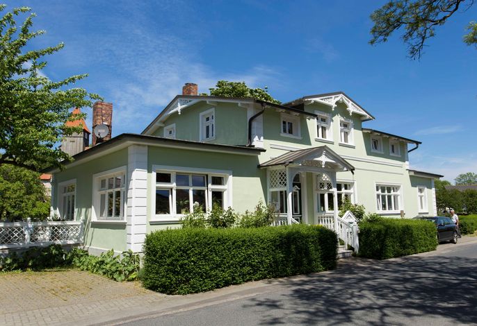 Lachmöwe