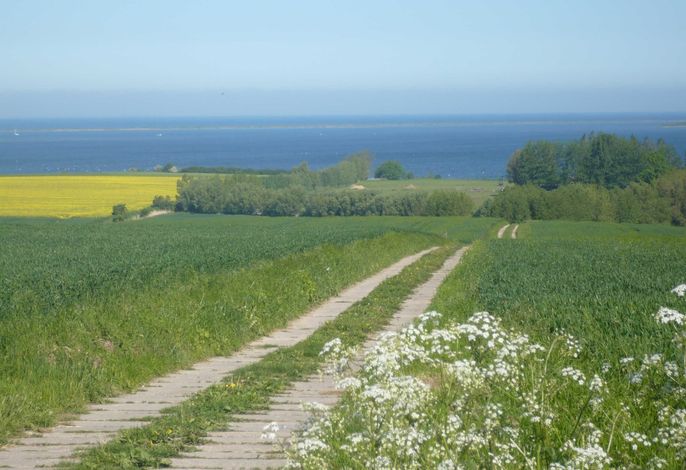 Bild 18