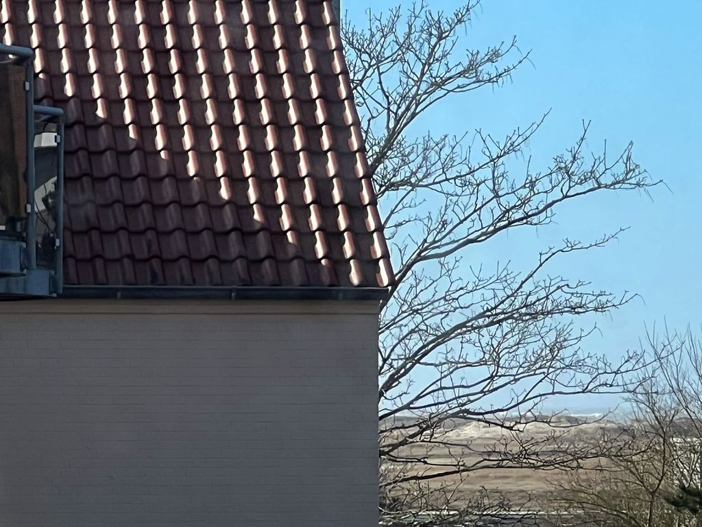 Blick aus dem Küchenfenster