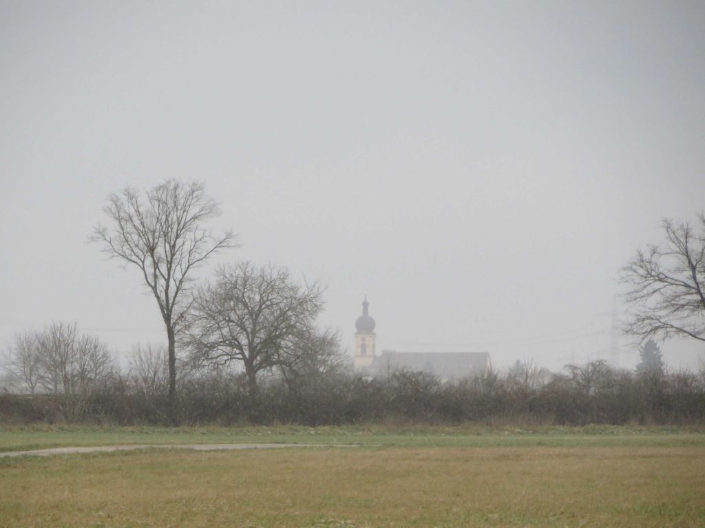 Kappeler Kirche im Morgengrauen vom Taubergießen aus