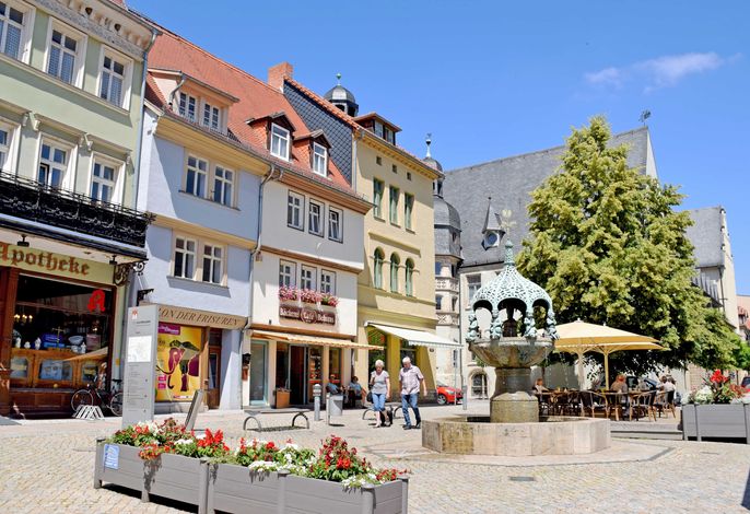 Bild 13